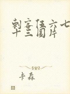 刺客伍六七梅花十三图片