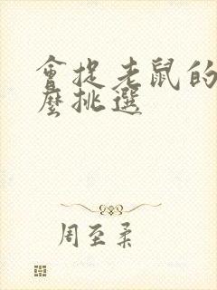 会捉老鼠的猫怎么挑选封面