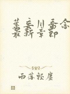 叶妄川乔念小说最新章节封面