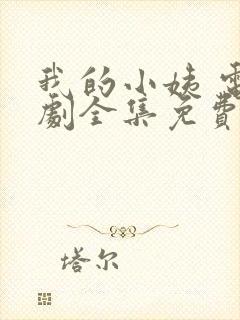 我的小姨 电视剧全集免费观看