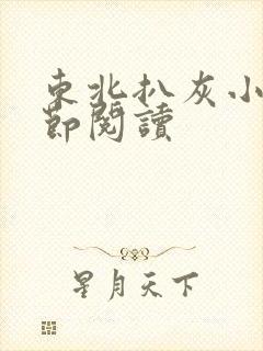 东北扒灰小说分节阅读