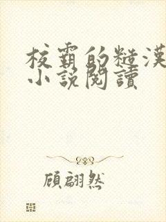 校霸的糙汉爸爸小说阅读