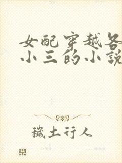 女配穿越各个做小三的小说