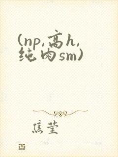 (np,高h,纯肉sm)