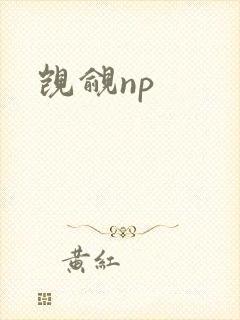觊觎np