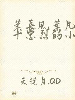 叶长风叶凡一门十忠烈的小说