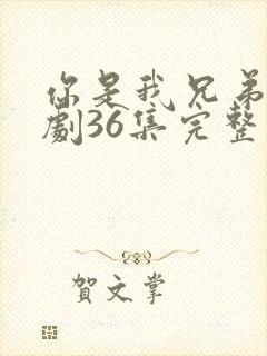 你是我兄弟电视剧36集完整版