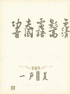 功夫电影免费观看国语高清