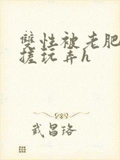 双性被老肥丑揉搓玩弄h封面