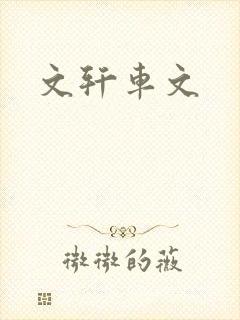 文轩车文