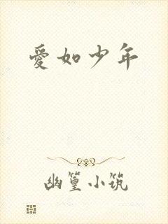 爱如少年