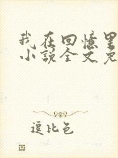 我在回忆里等你小说全文免费阅读