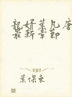 龙婿叶凡唐若雪最新章节