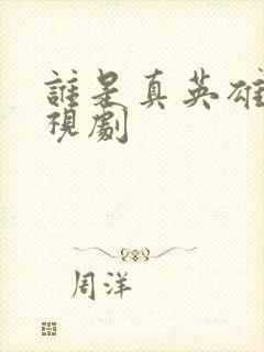 谁是真英雄 电视剧