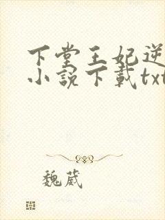 下堂王妃逆袭记小说下载txt封面