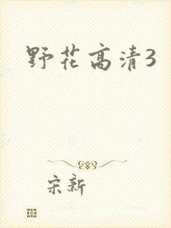 野花高清3