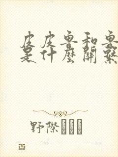 皮皮鲁和鲁西西是什么关系