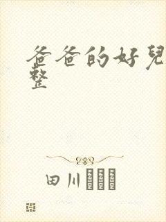 爸爸的好儿子完整