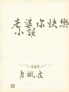 老婆你快乐吗宋 小说