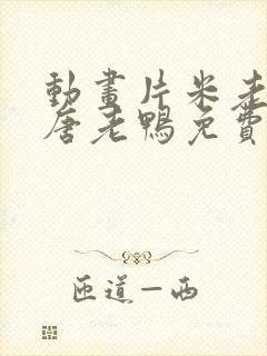 动画片米老鼠和唐老鸭免费播放