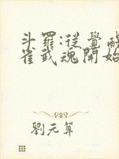 斗罗:从觉醒朱雀武魂开始