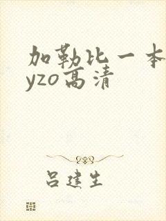 加勒比一本heyzo高清