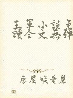 王军小说免费阅读全文无弹窗