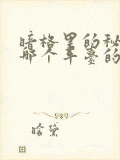 暗格里的秘密是哪个平台的封面