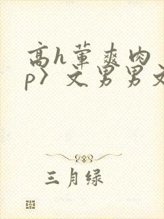 高h荤爽肉〈np〉文男男文封面