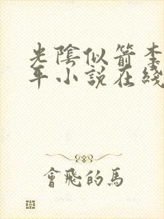 光阴似箭李艳傅平小说在线阅读