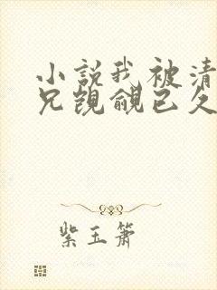 小说我被清冷师兄觊觎已久免费阅读全文