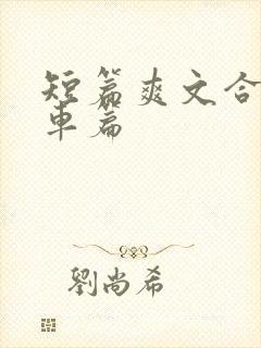 短篇爽文合集公车篇封面