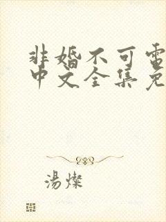 非婚不可电视剧中文全集免费观看封面