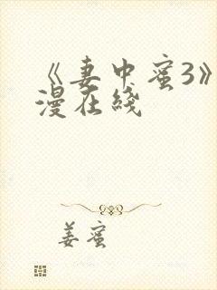 《妻中蜜3》动漫在线