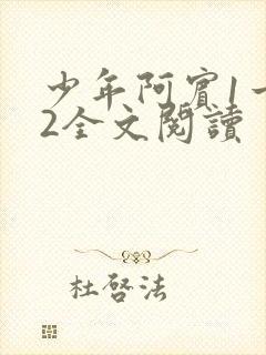 少年阿宾1一72全文阅读