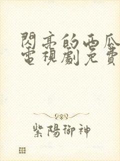 闪亮的西瓜韩剧电视剧免费观看全集封面