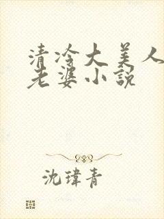 清冷大美人是我老婆小说