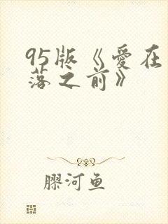 95版《爱在日落之前》