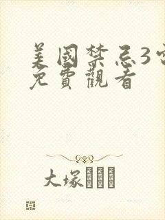 美国禁忌3电影免费观看封面