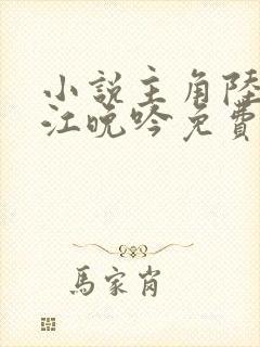 小说主角陆时今江晚吟免费阅读