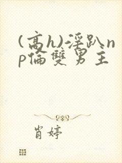 (高h)淫趴np伦双男主封面