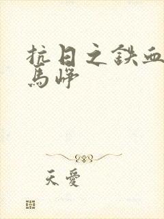 抗日之铁血军魂马峥