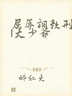 屈辱调教刑虐bl大少爷