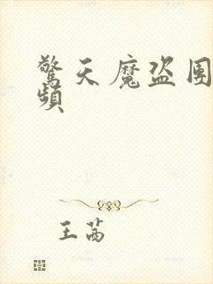 惊天魔盗团2视频