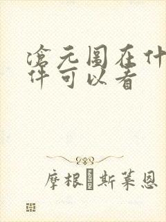 沧元图在什么软件可以看