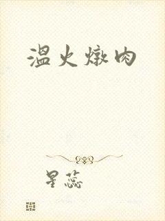 温火炖肉封面