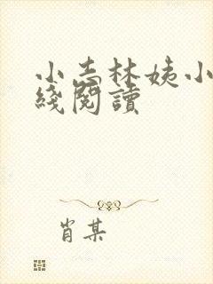 小志林姨小说在线阅读