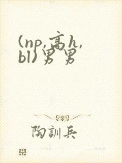 (np,高h,bl)男男