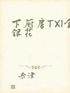 下厨房TXl金银花