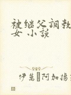 被继父调教的少女 小说封面